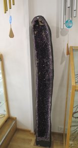 besonders dunkelfarbene Amethystdruse aus Brasilien, 160cm Höhe